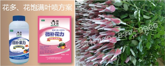 花卉也需要微補嗎？