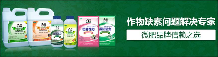 #微肥課堂#為什么葉面肥養(yǎng)分含量相同，效果卻不同？