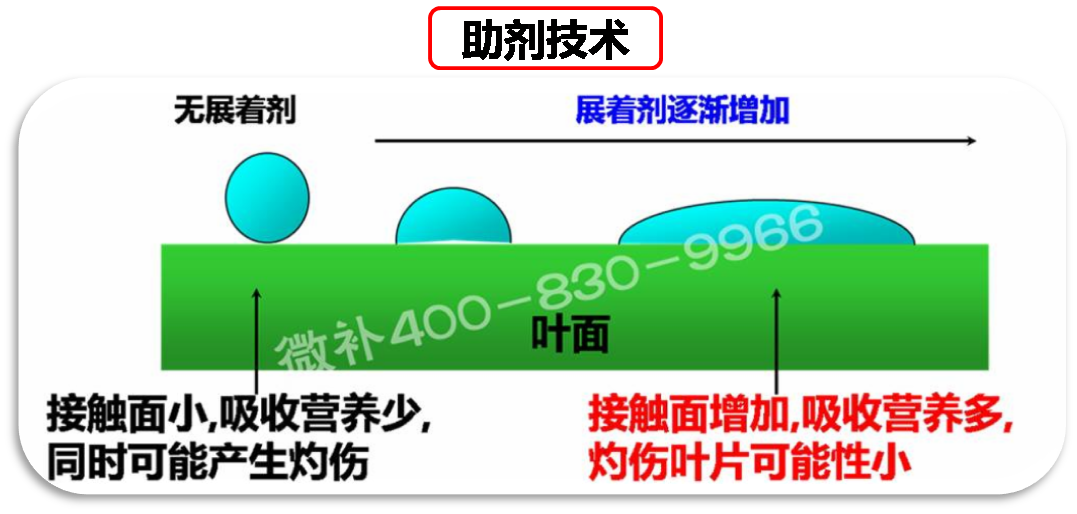 余教授德國鄉(xiāng)村行：我在德國為什么不會點啤酒了？