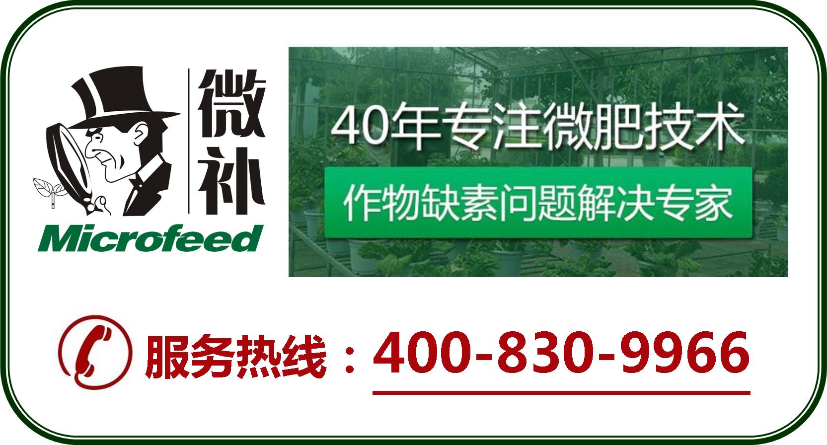 余教授德國(guó)鄉(xiāng)村行：摩澤爾河的葡萄魅力在哪兒？