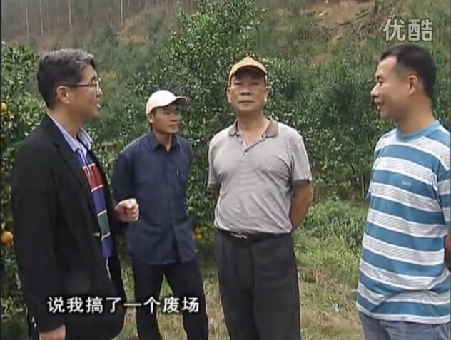 20160118珠江臺搖錢樹：貢柑用微補全年營養(yǎng)方案，黃樹翻身還高產(chǎn)增果