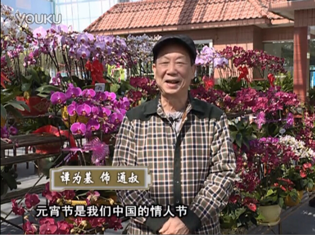20160222珠江臺(tái)搖錢樹：用綠夫人營養(yǎng)液，簡單種花都能養(yǎng)得靚