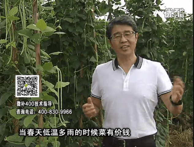20160704珠江臺搖錢樹：蔬菜用微補(bǔ)方案，省肥藥又保產(chǎn)