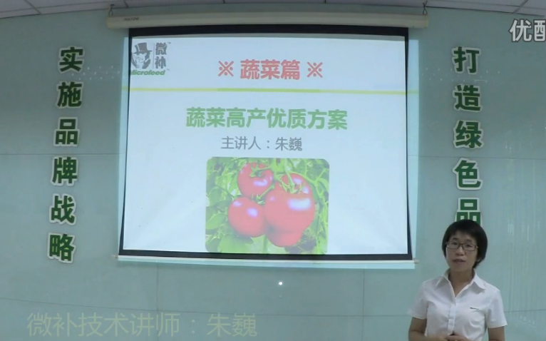 蔬菜-提苗壯長、提高坐果高產方案.微補講座