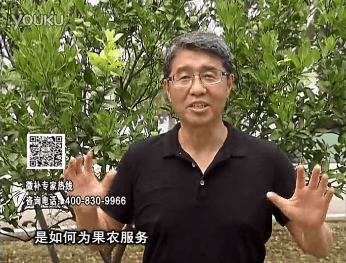 20160912珠江臺(tái)搖錢樹：針對(duì)果場(chǎng)面積、缺素營(yíng)養(yǎng)、設(shè)施管理、投入產(chǎn)出，微補(bǔ)做個(gè)性化定制服務(wù)