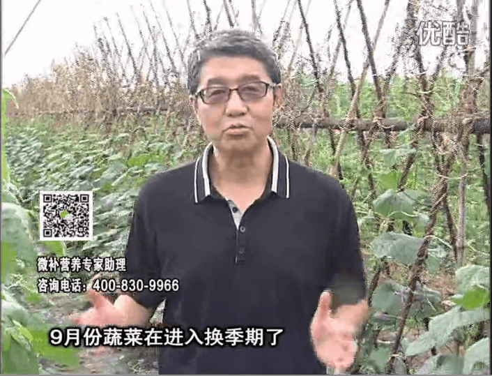 20160926珠江臺搖錢樹：換季蔬菜淋根力鈣精力促根壯長，淋微補(bǔ)調(diào)力調(diào)酸減少病害