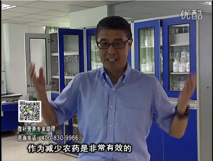 20161024珠江臺(tái)搖錢樹：種植作物調(diào)酸、平衡營(yíng)養(yǎng)、提高抗病力能大大降低病害發(fā)生和農(nóng)藥使用量
