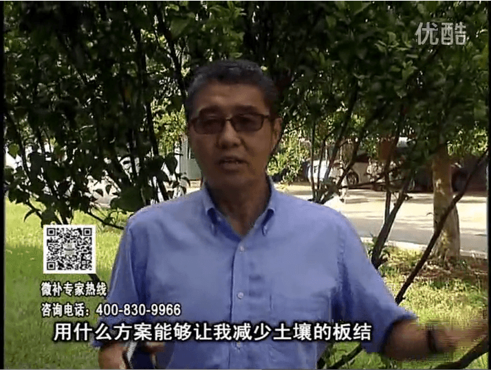 20161031珠江臺(tái)搖錢樹：減少化肥使用量、土壤少板結(jié)有辦法
