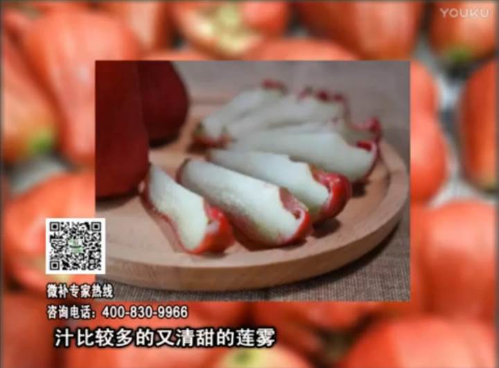 20170424珠江臺搖錢樹：蓮霧淋沖微補(bǔ)水肥，壯長、提高果實品質(zhì)賣價